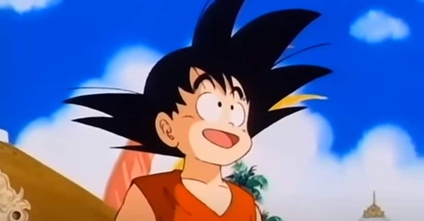  ¿Qué artes marciales usa Goku?  (¿Funcionan en la vida real?)