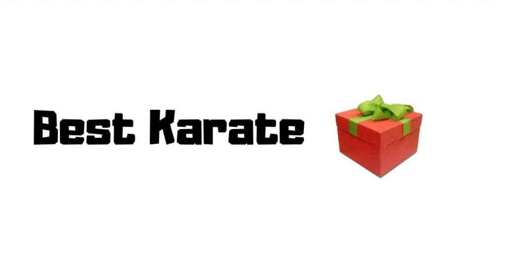 20 Amazing Karate Gifts for Any Occasion