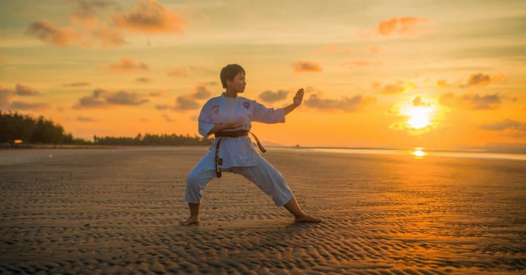 Can You Teach Yourself Karate? Here Is How!