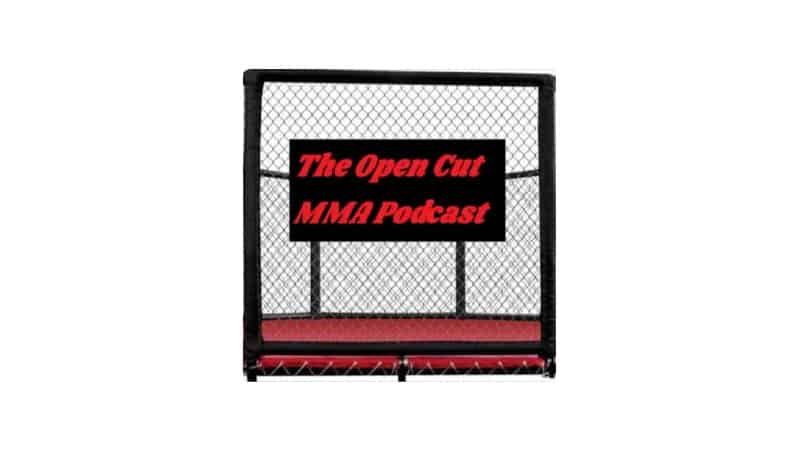 50 Best MMA Podcasts in 2021