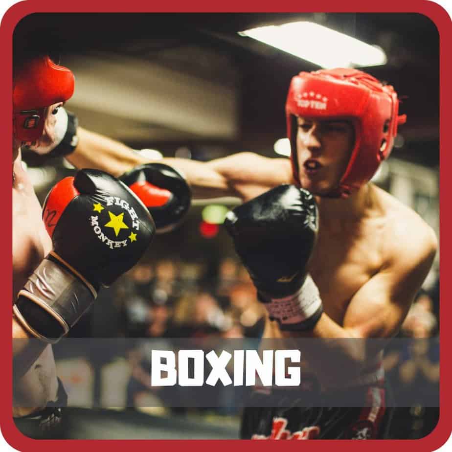 Boxing (icon) - Way of Martial Arts