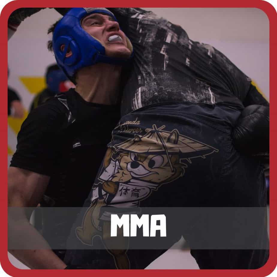 icon MMA - way of martial arts