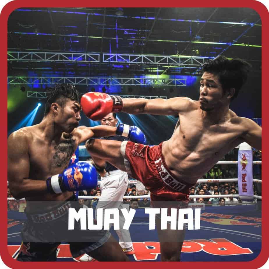 muay thai ocon - wayofmartialarts.com