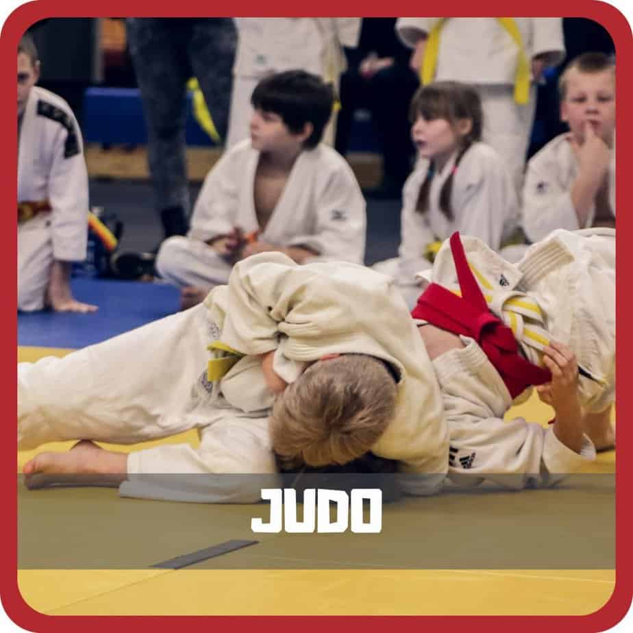 judo (icon) - Way of Martial Arts