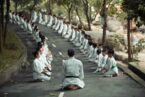 15 Benefits of Learning Martial Arts