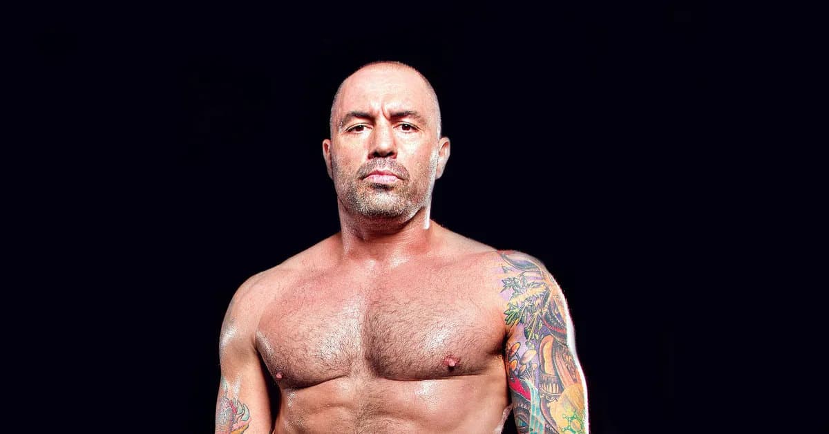 Did Joe Rogan Fight Professionally? (& What Was His Record)