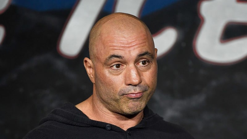 Did Joe Rogan Fight Professionally? (& What Was His Record)
