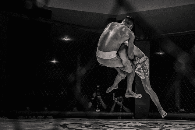 Frame of a match with two fighters in the halfway through a combat hold