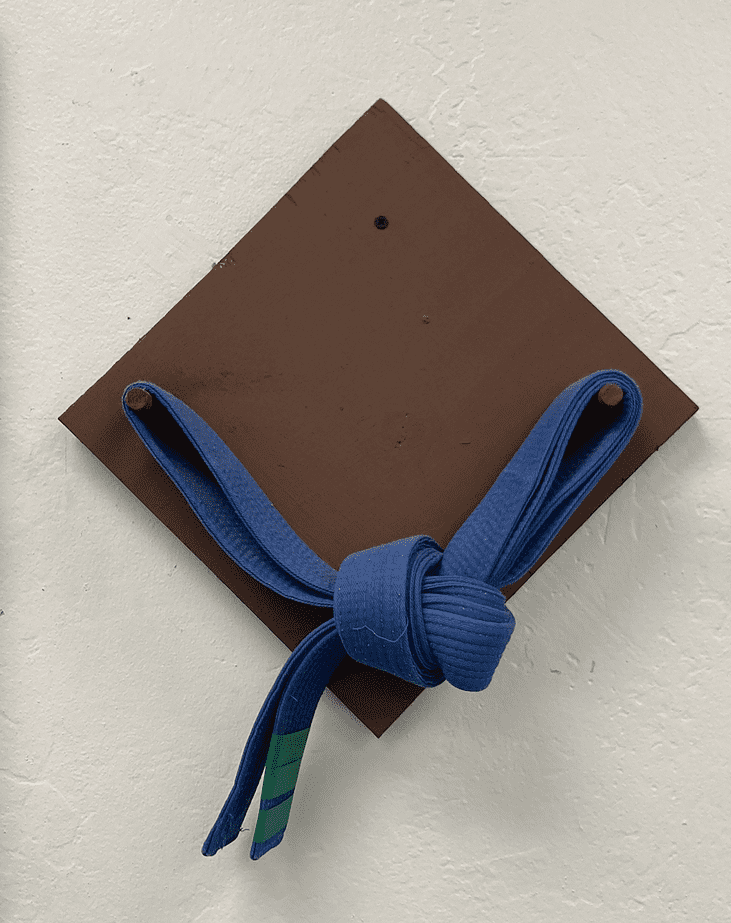 Karate Equipment - blue Belt