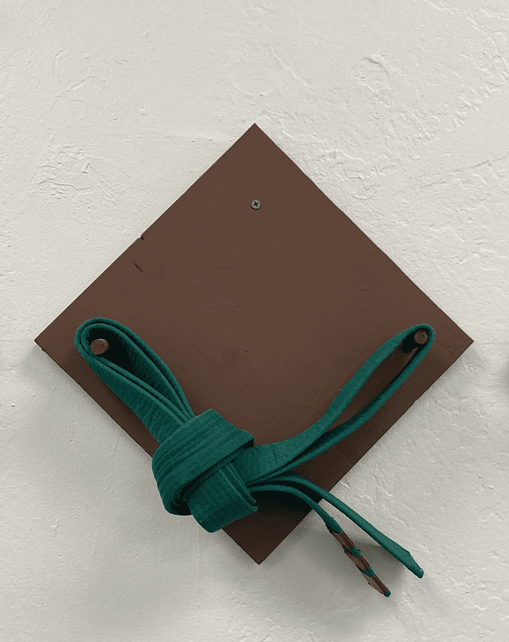 Karate Equipment - green Belt