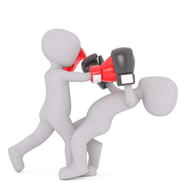 A 3D Model of a boxing move