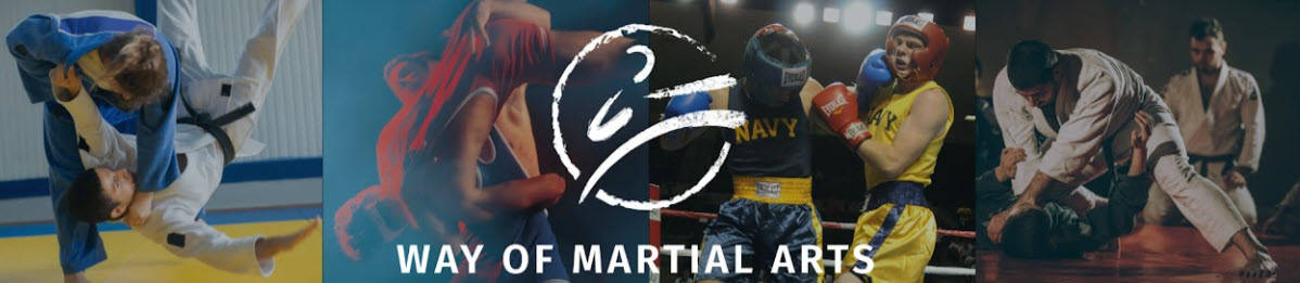 Best Martial arts and combat sports videos from Youtube - selection by - wayormartialarts