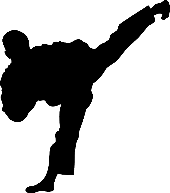 Origins Of Karate And Its History