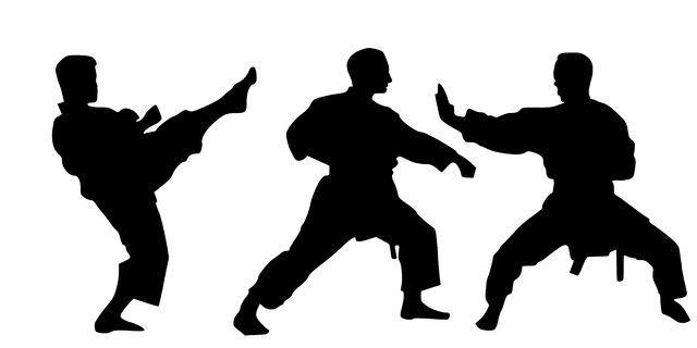 Origins Of Karate And Its History