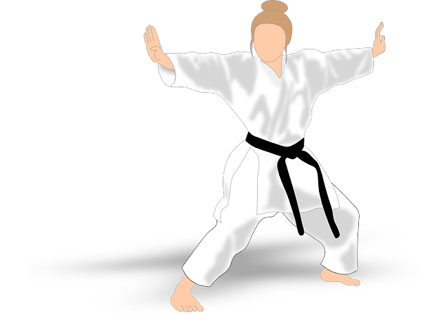 Shotokan Karate (History, Belt Order, Stances, Kicks, Punches)