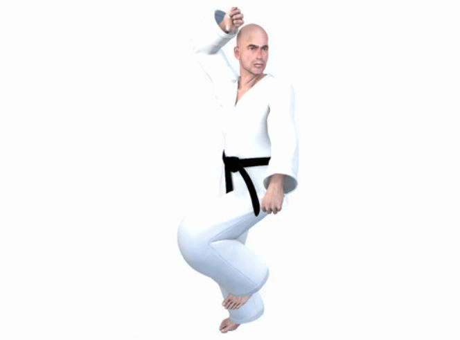 Stances In Taekwondo
