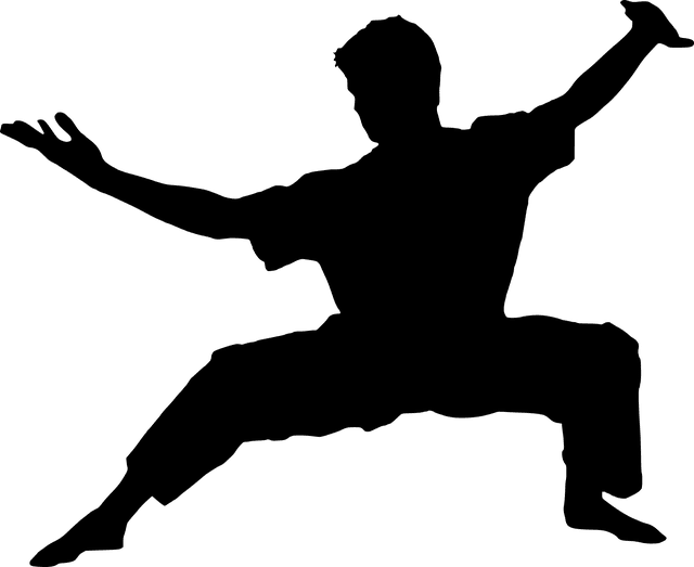 Kung Fu Styles Styles Of Shaolin Kung Fu And Other Styles