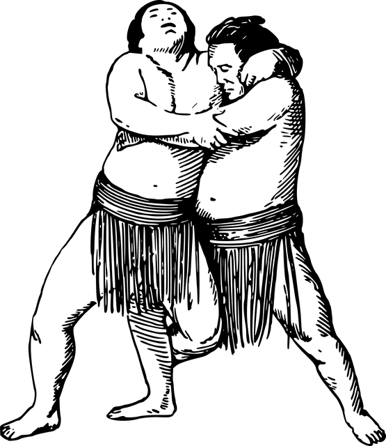 Sumos: What Is And Wrestlers