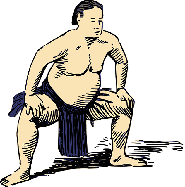 Sumos: What Is And Wrestlers