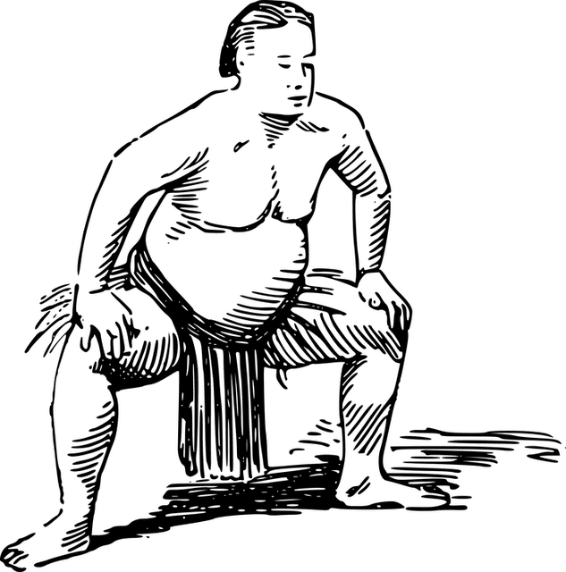 Sumo: What is and Wrestlers