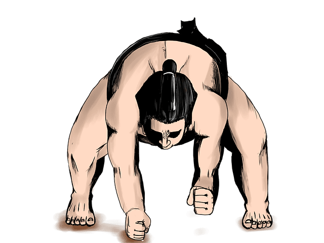 Sumos: What Is And Wrestlers