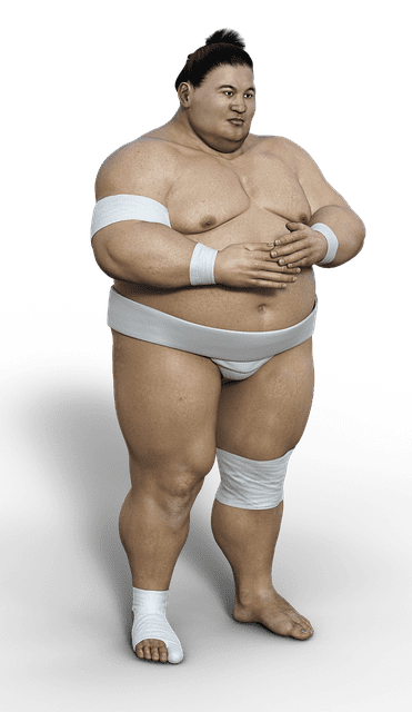 Sumos: What Is And Wrestlers