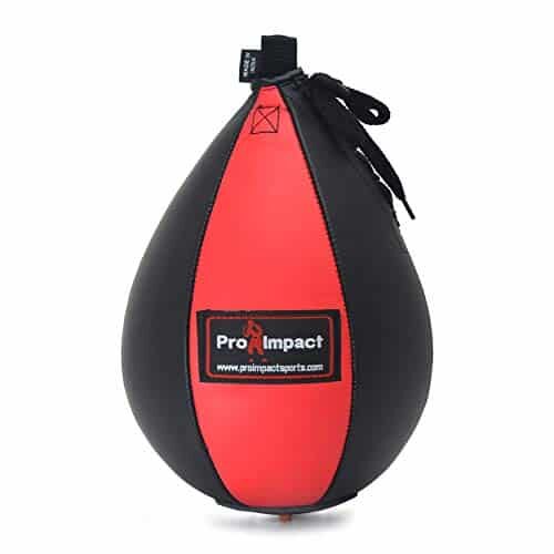 Speed bag from Pro Impact