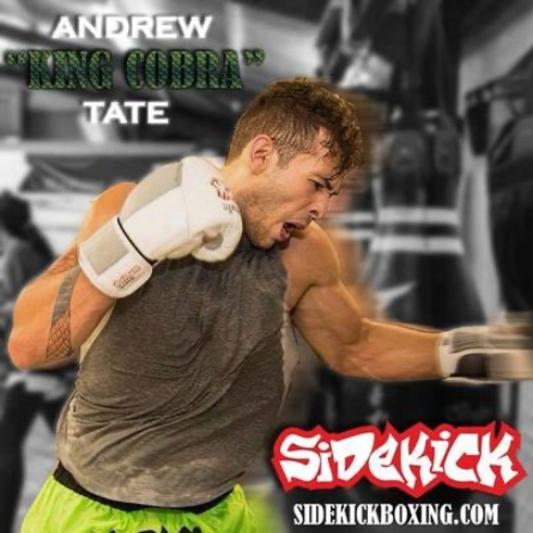 Andrew Tate Sidekick Ultimate T8 Boxing Gloves